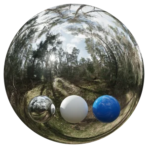DayEnvironmentHDRI024