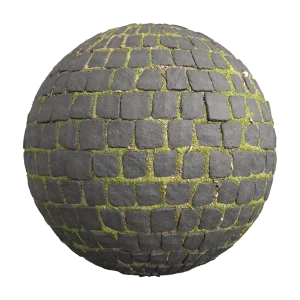 PavingStones067