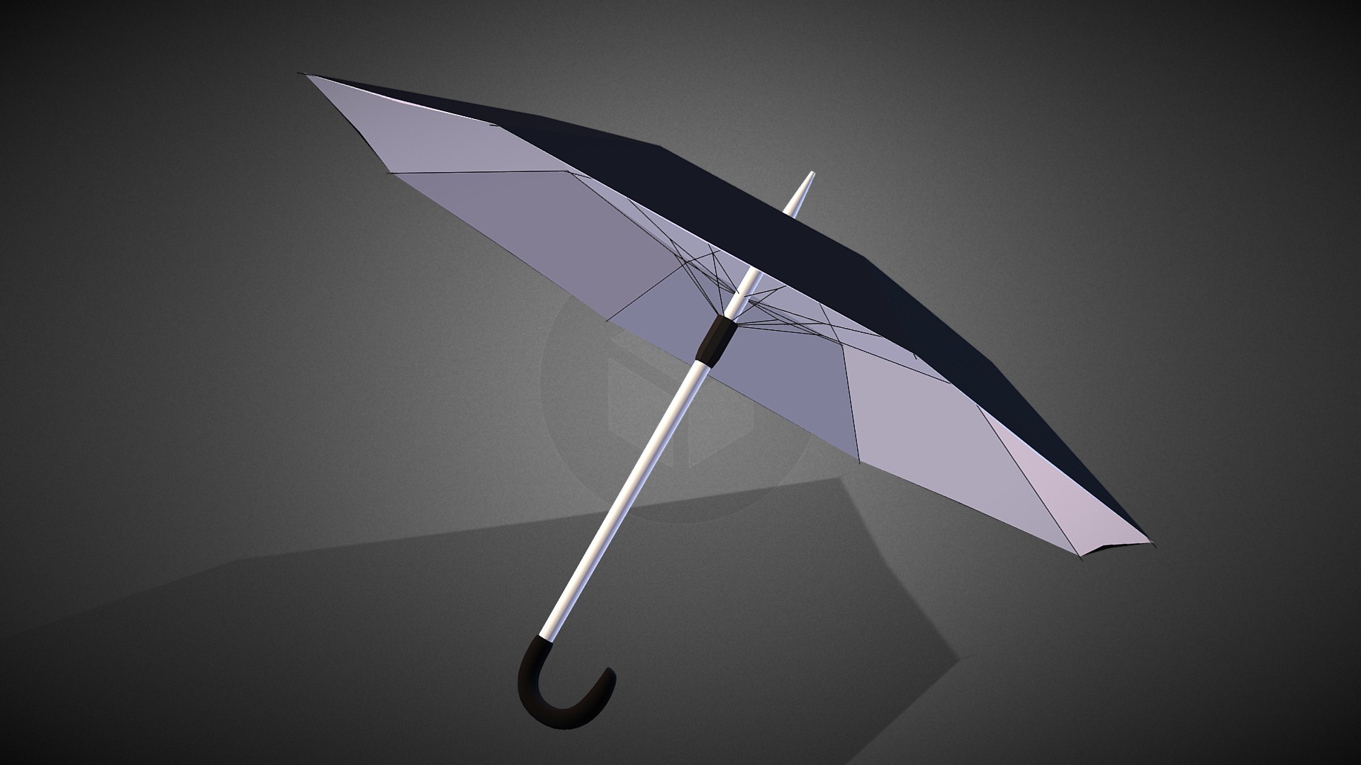 Black Vintage Umbrella【黑色复古雨伞】