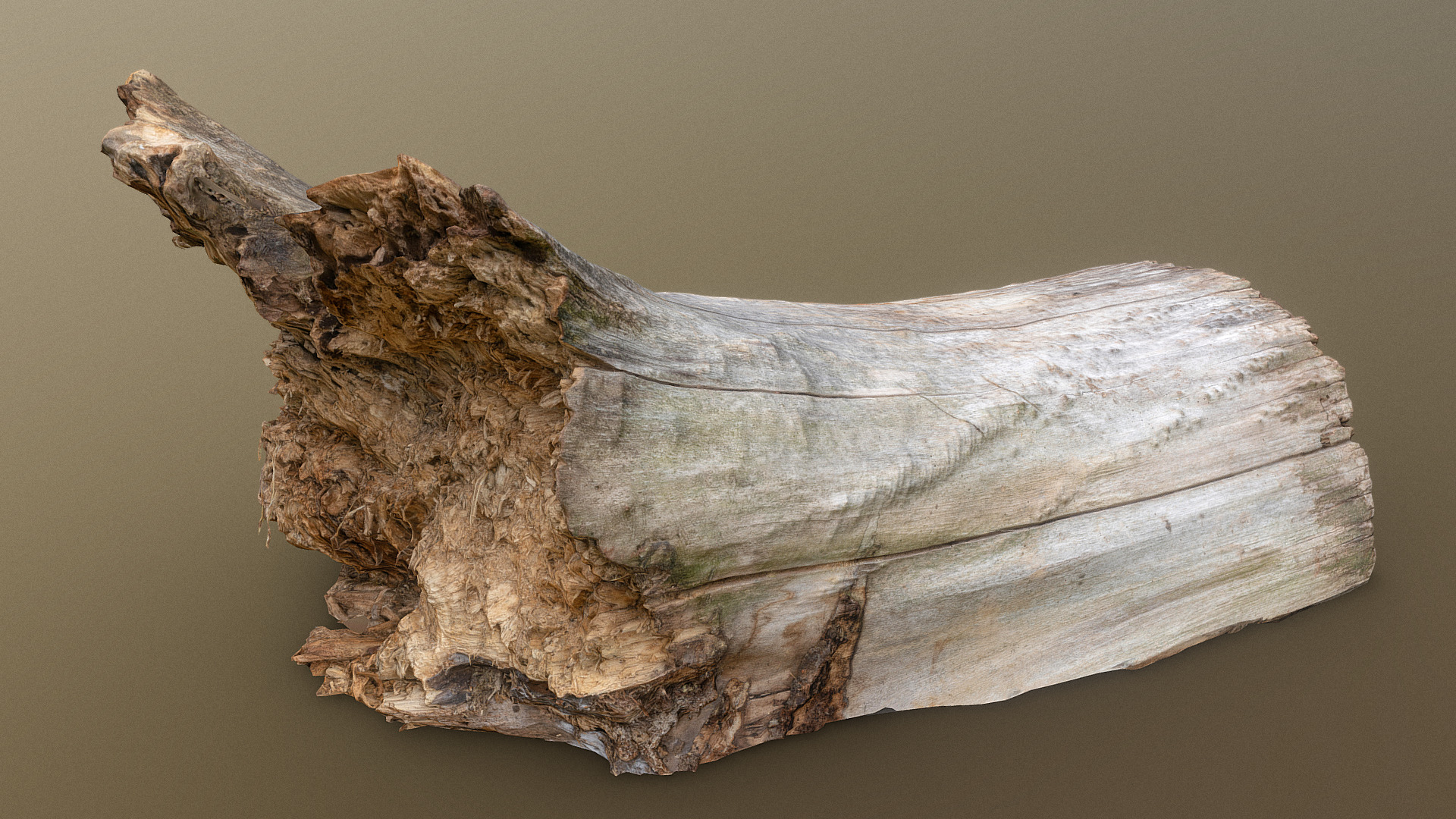 Aspen lumber log【白杨木木材原木】
